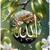 alwahvru3no