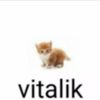 vitalik6847
