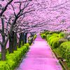 rajibislam765