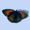echidain