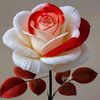 ibrahim.chabbar