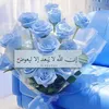user49336613286711