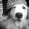milu._872
