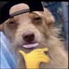 lordtwo9mz