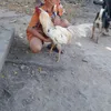 nguyn.vn.khnh.ha