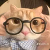 chanhxinhieu