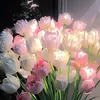 am0_250