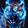 minh.ng45706