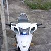 alpa48485