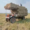 khanggo85
