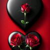hassanhassballa1
