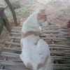sanhtooaung920