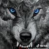 user97180019755346