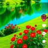 md.faruk.roman4