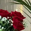 bcbeauty_23
