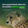 aminat.unma