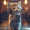 Petit Miaou Show