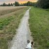 paulia.josephine