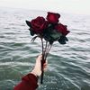 user9799314797926