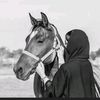 nemoelqady2