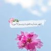omaima.abdullhe