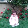 shahid12_1