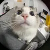 hiiiiiiiiii501