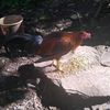 erik.0x8