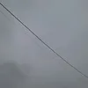 zibi.zibi81