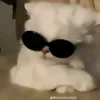mespaaz