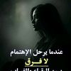 user16526337042234