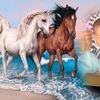 user67230006675194