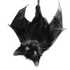 coffinofbats_