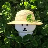 monu_447