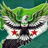 user3016305118537