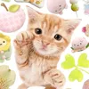 kit_nick176