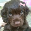 leito.liyi