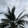 noirzxss