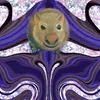 phantomwombat00