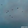 yousaf.alhadi2