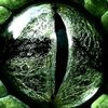 psionicspy40