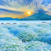luannguyen_8668