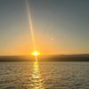 user.10031967