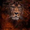 soul.survivor54th