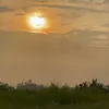 nthmsnhp11