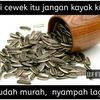 telorceploks