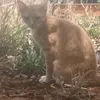nhuyenl