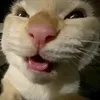 marlosh_plays67