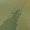 zelena_330