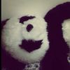pandas_zoe